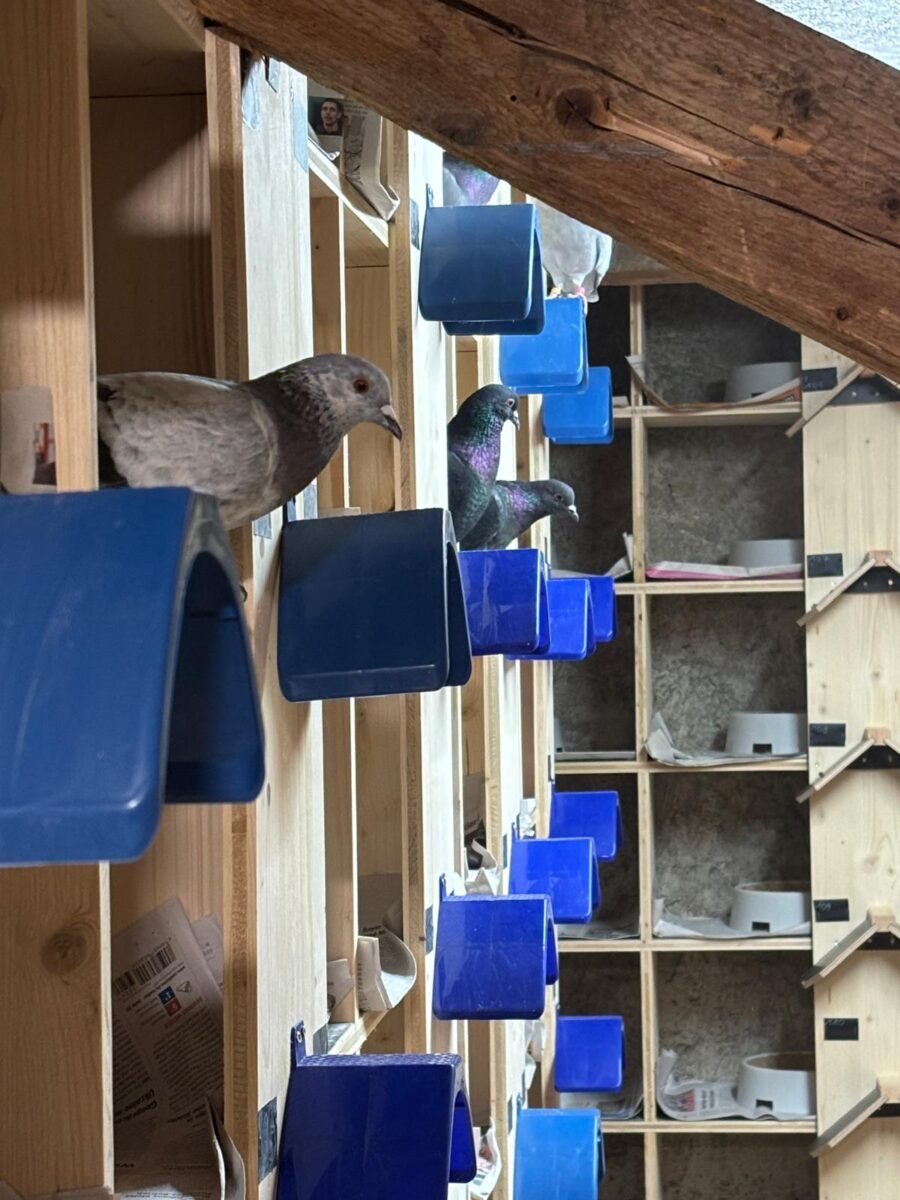 Dachboden